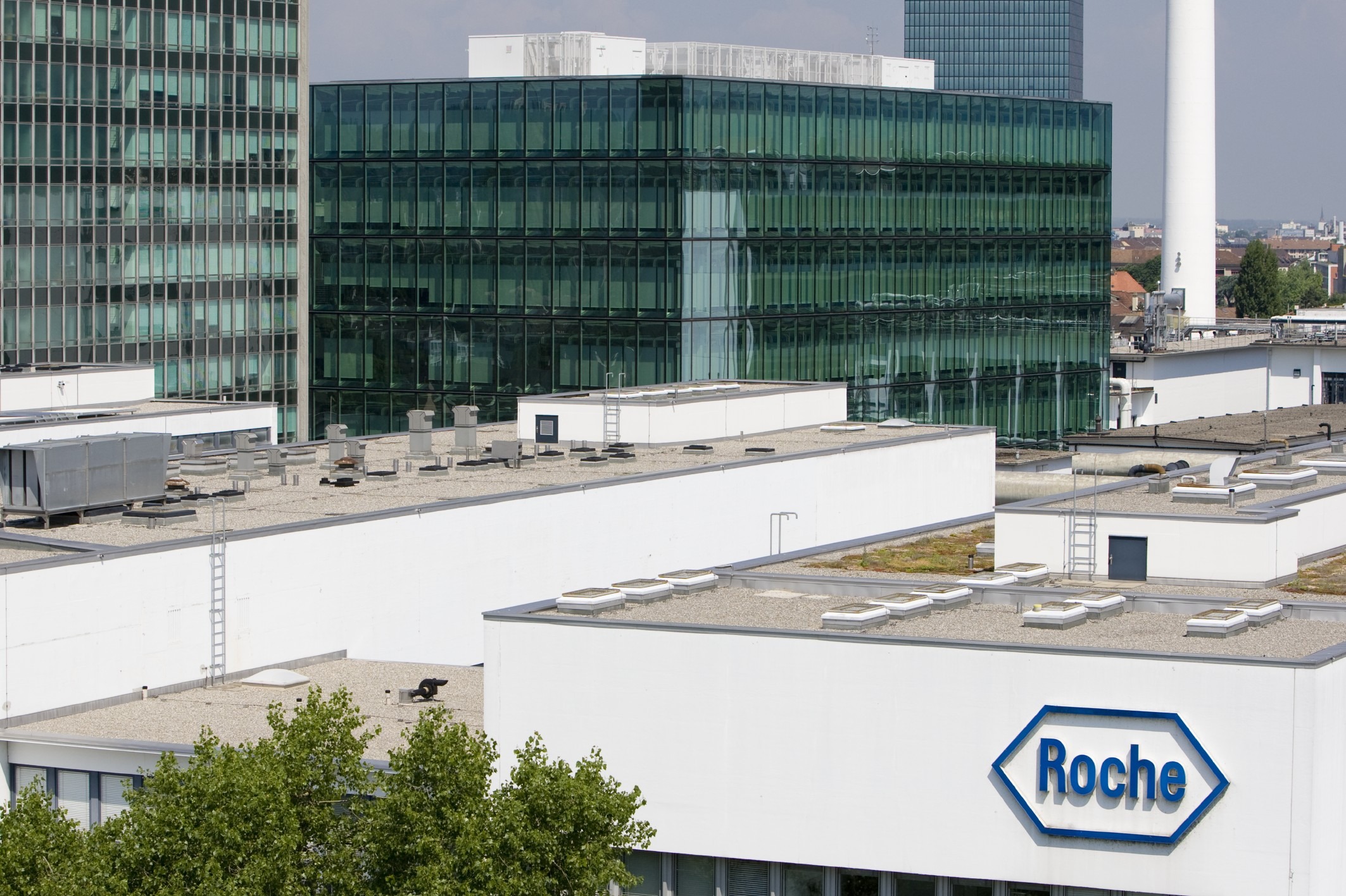 Roche holding