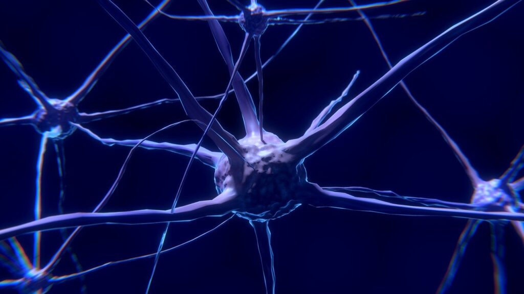 Neurons-11Jan2022