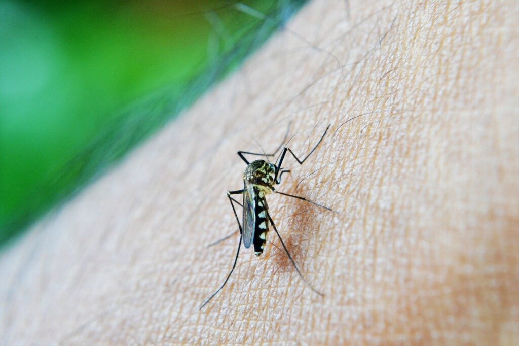 BenevolentAI, DNDi begin joint AI research project on dengue