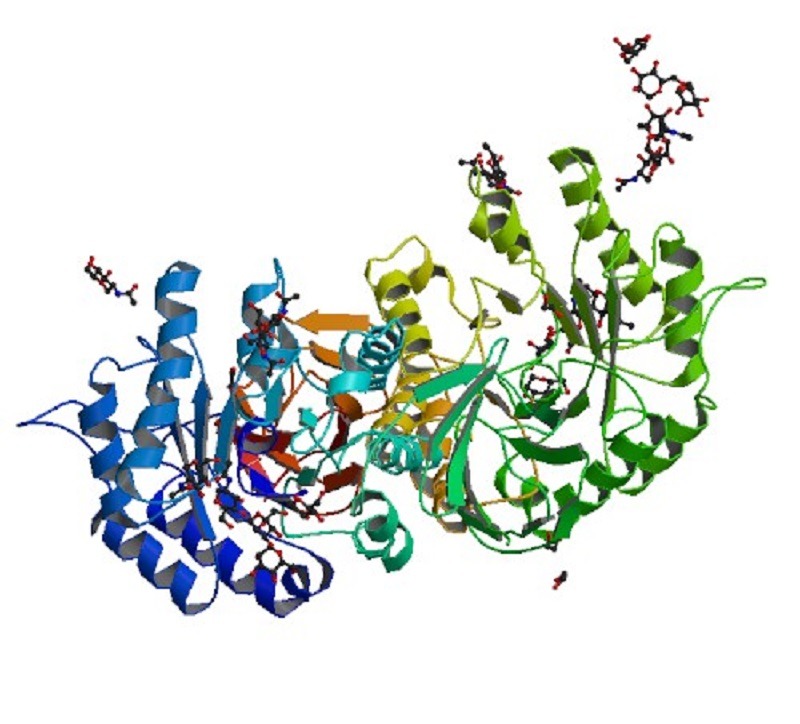 PBB_Protein_GLA_image