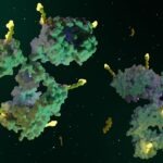 Pharmaceutical Business Review