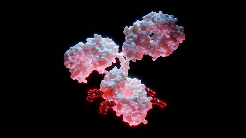 YL201 is an ADC that targets B7H3 and has been developed with MediLink’s proprietary TMALIN platform. Credit: Alpha Tauri 3D Graphics / Shutterstock.com.