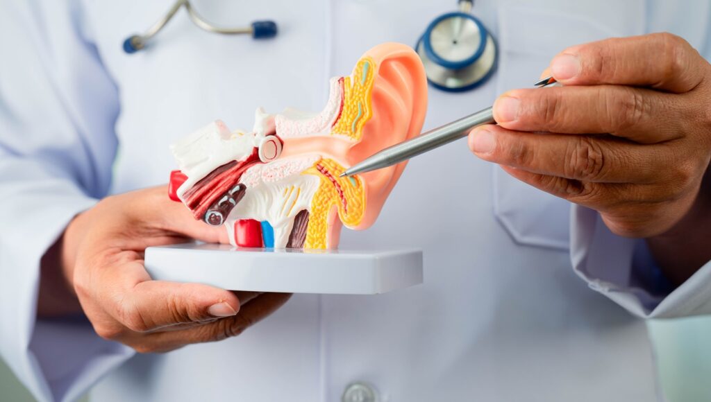 The new funding is allocated to drive key milestones for the programme, which targets hearing loss associated with GJB2 mutations. Credit: superbeststock / Shutterstock.com.