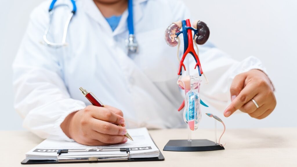 The CHMP recommends the use of niraparib and abiraterone acetate for patients with metastatic hormone-sensitive prostate cancer. Credit: PanuShot / Shutterstock.com.