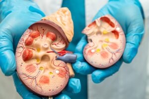 Everest Medicines and Micot partner on MT1013 commercialisation