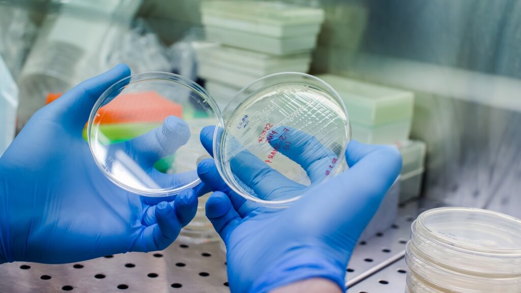 CIB-301 targets solid tumours using a fully human CAR scFv. Credit: Vshivkova / Shutterstock.com.