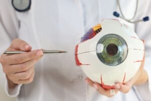 Ray Therapeutics receives EMA PRIME status for gene therapy