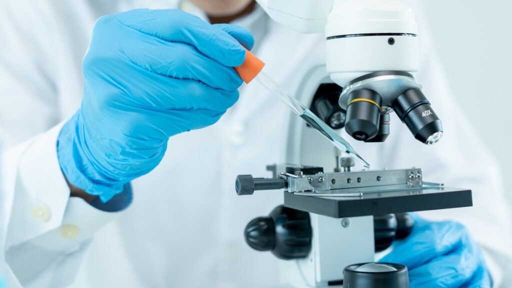 Latus Bio is scaling gene therapy for rare and common diseases. Credit: shisu_ka / Shutterstock.com.