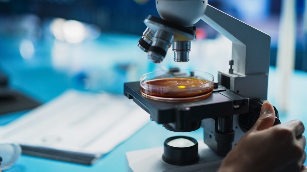 The policy applies in all global markets except Greater China, enabling access to HEK293 cell line products for R&D purposes. Credit: Gorodenkoff / Shutterstock.com.