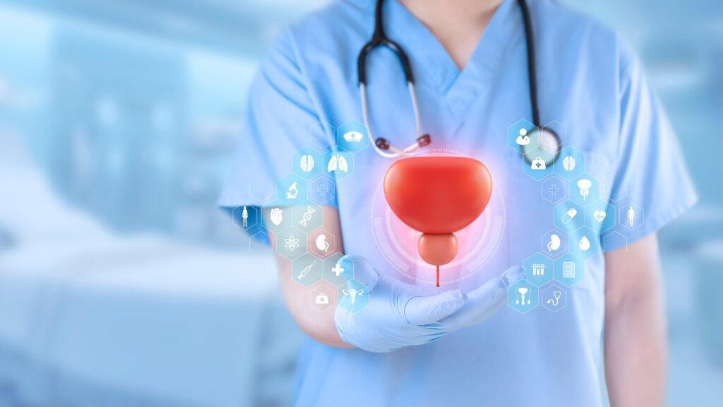 Urologist,Examines,Prostate,And,Bladder.,Concept,Of,Regular,Prostate,Monitoring