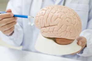 Lilly and BioArctic sign deal to develop neurodegenerative therapy
