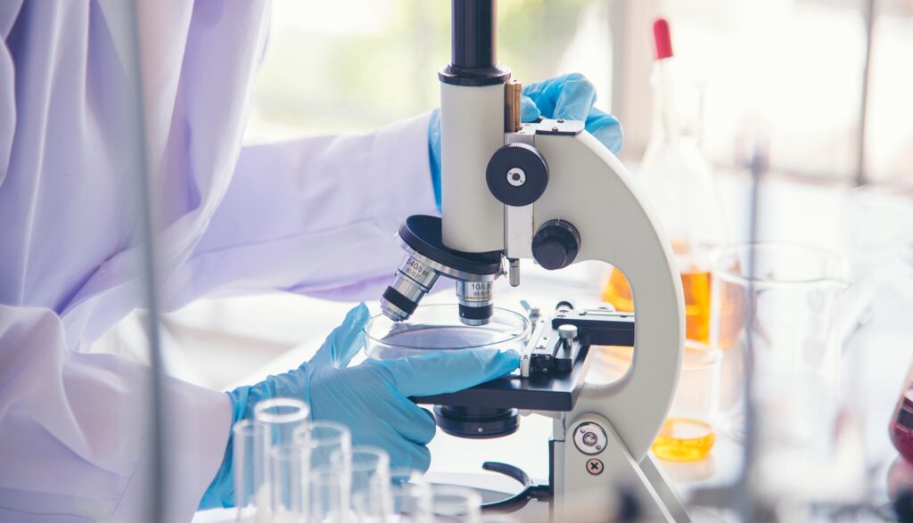 The PRIME designation aims to provide additional regulatory support and guidance for medicines. Credit: afotostock / Shutterstock.com.