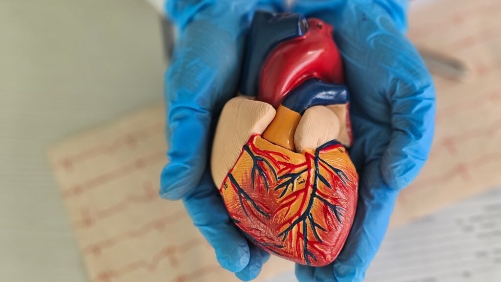 Rocket Pharmaceuticals develops genetic medicines for rare as well as life-threatening diseases, with a focus on cardiovascular disorders. Credit: NMK-Studio/Shutterstock.com.