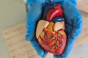 Rocket receives $150m credit facility to advance cardiovascular portfolio