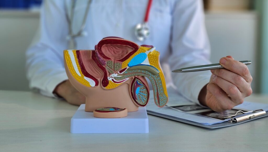 Doctors,Counseling,Patients,With,Prostate,Cancer,And,Using,A,Penis